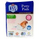Spotty™ 50ct Everlast Premium Puppy Pads