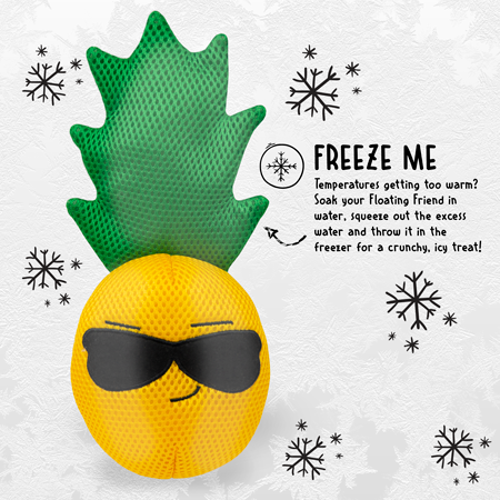 4_10152_Frozen_Pineapple_FF.png