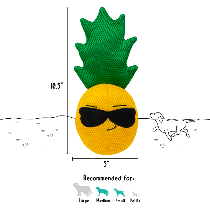 6_10152_Dimensions_M_Pineapple_FF.png