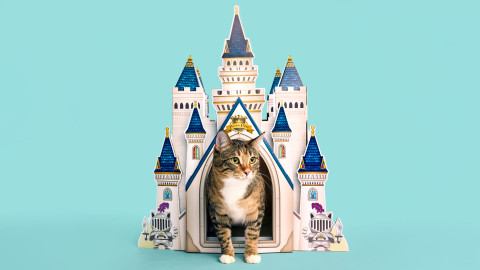 A Royal Recognition: HappyCat™ Castle Scratcher Wins Cat Toy of the Year!
