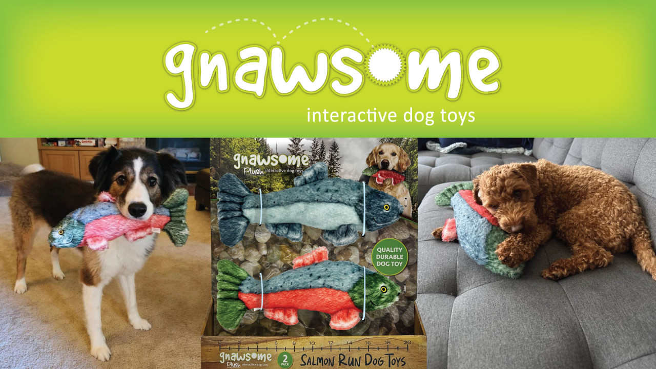 Blog-Post-Gnawsome-Salmon-imagery