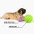 Giant Tuff Roller - 12" Herding Ball
