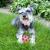 Small Squeak & Light Soccer Ball